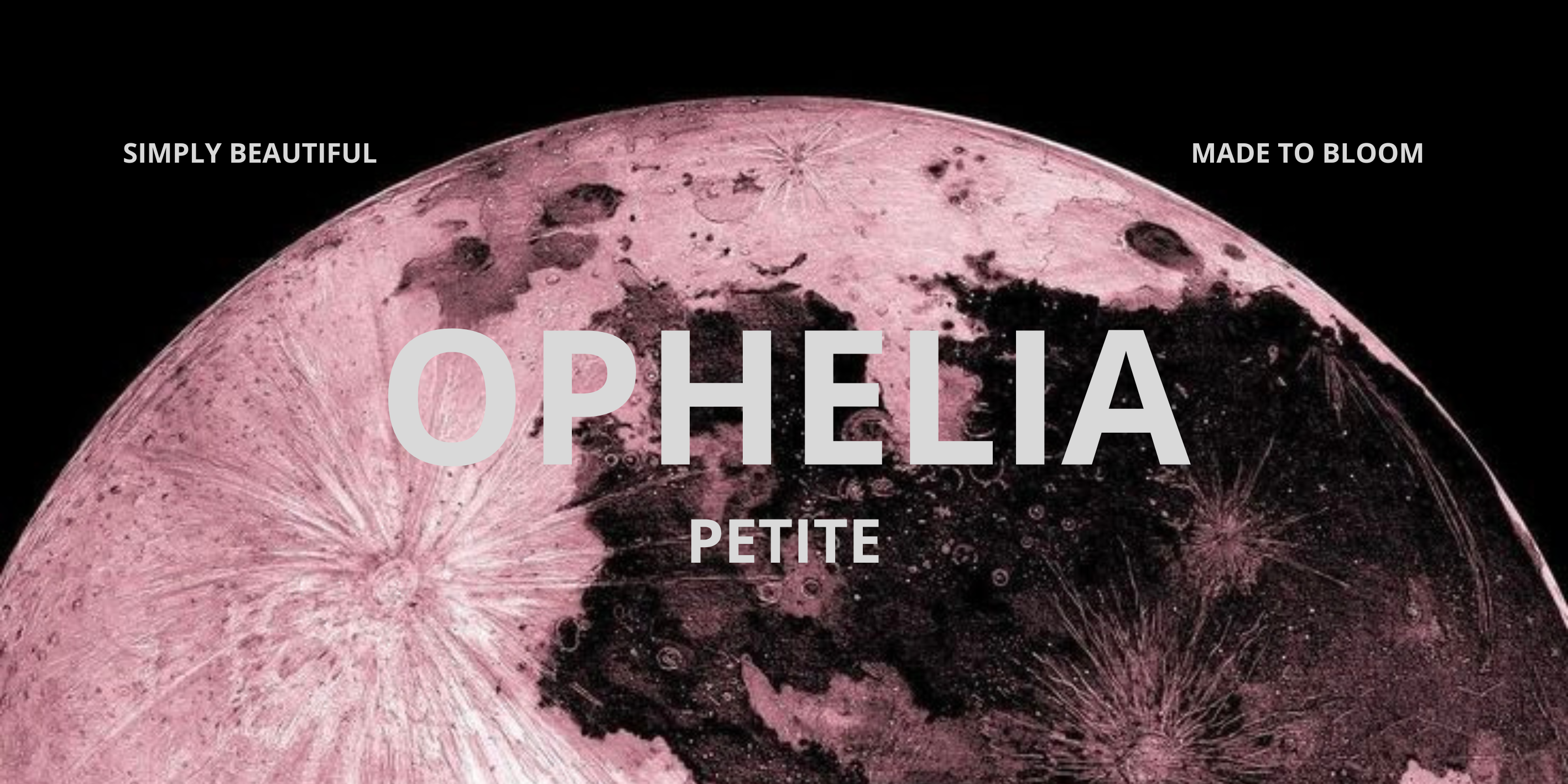Banner OPHELIA
