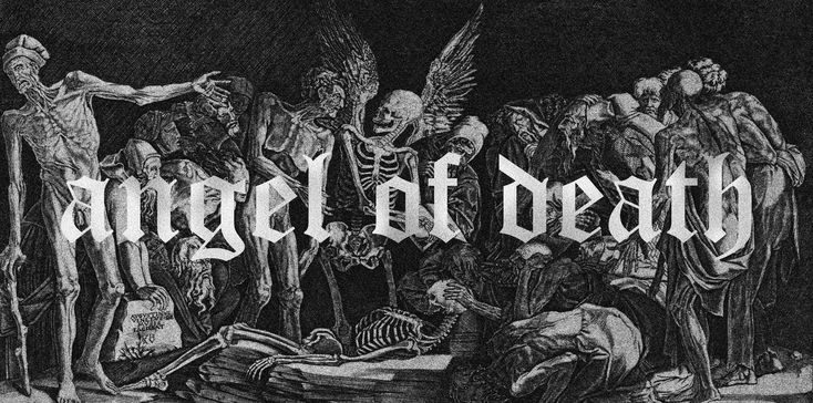 Banner KAVANI